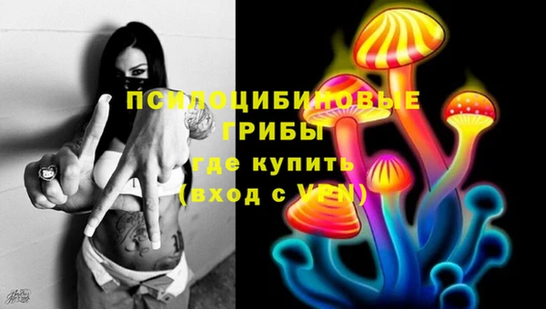 Альфа ПВП Арсеньев