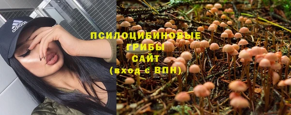 a pvp Армянск